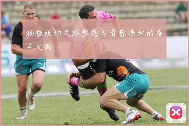 杨教练的足球梦想与青春热血的奋斗之路